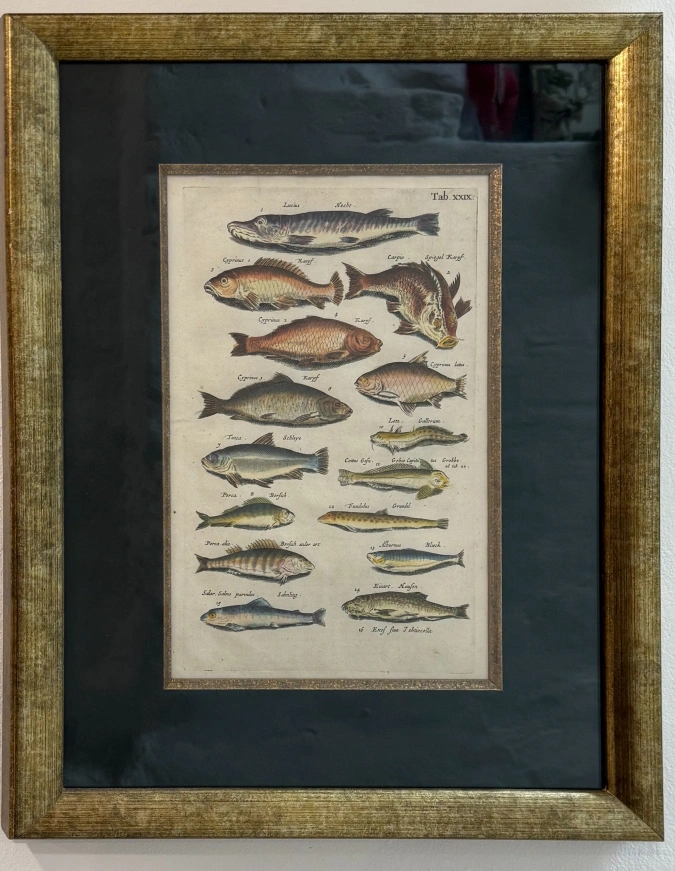 Гравюра Мериана 1657