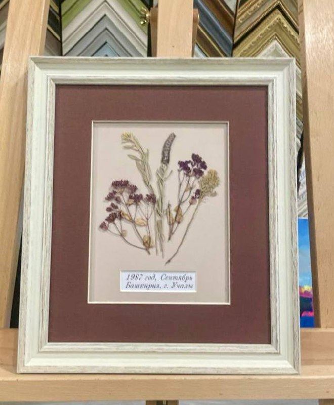 Оформление гербария в багет: мастерство и эмоции