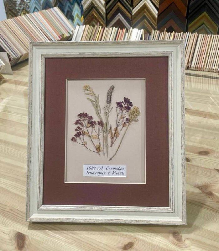 Оформление гербария в багет: мастерство и эмоции