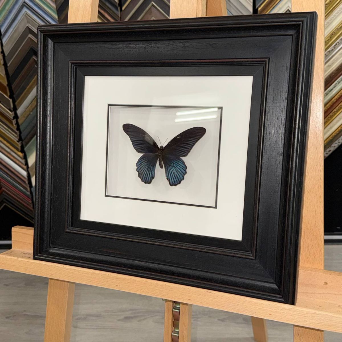 Оформление бабочек в багет: шаг к уникальному арт-объекту