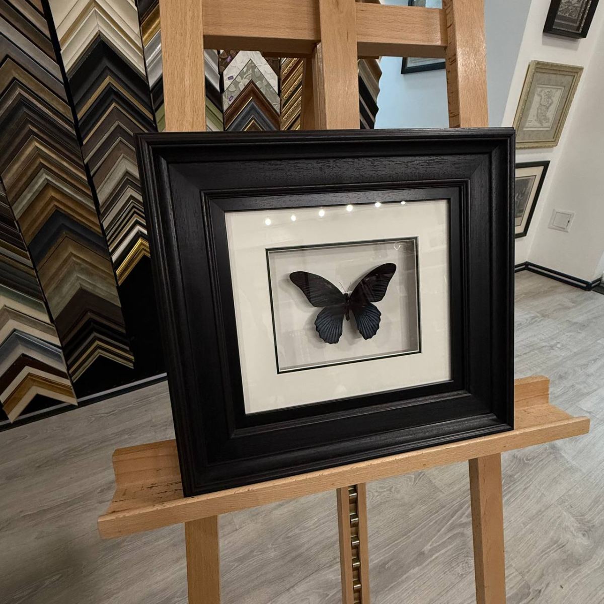 Оформление бабочек в багет: шаг к уникальному арт-объекту