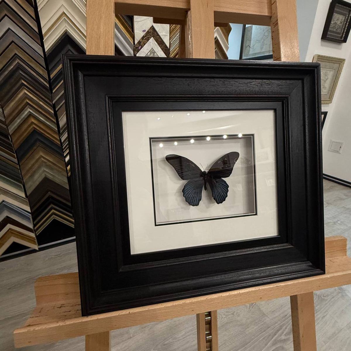 Оформление бабочек в багет: шаг к уникальному арт-объекту