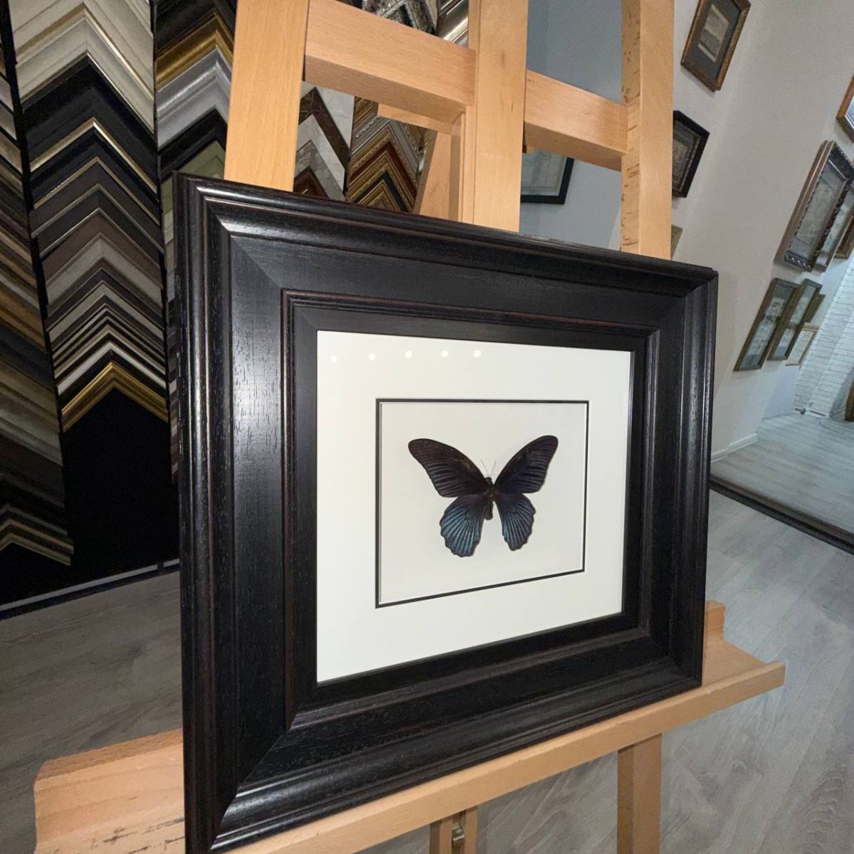 Оформление бабочек в багет: шаг к уникальному арт-объекту