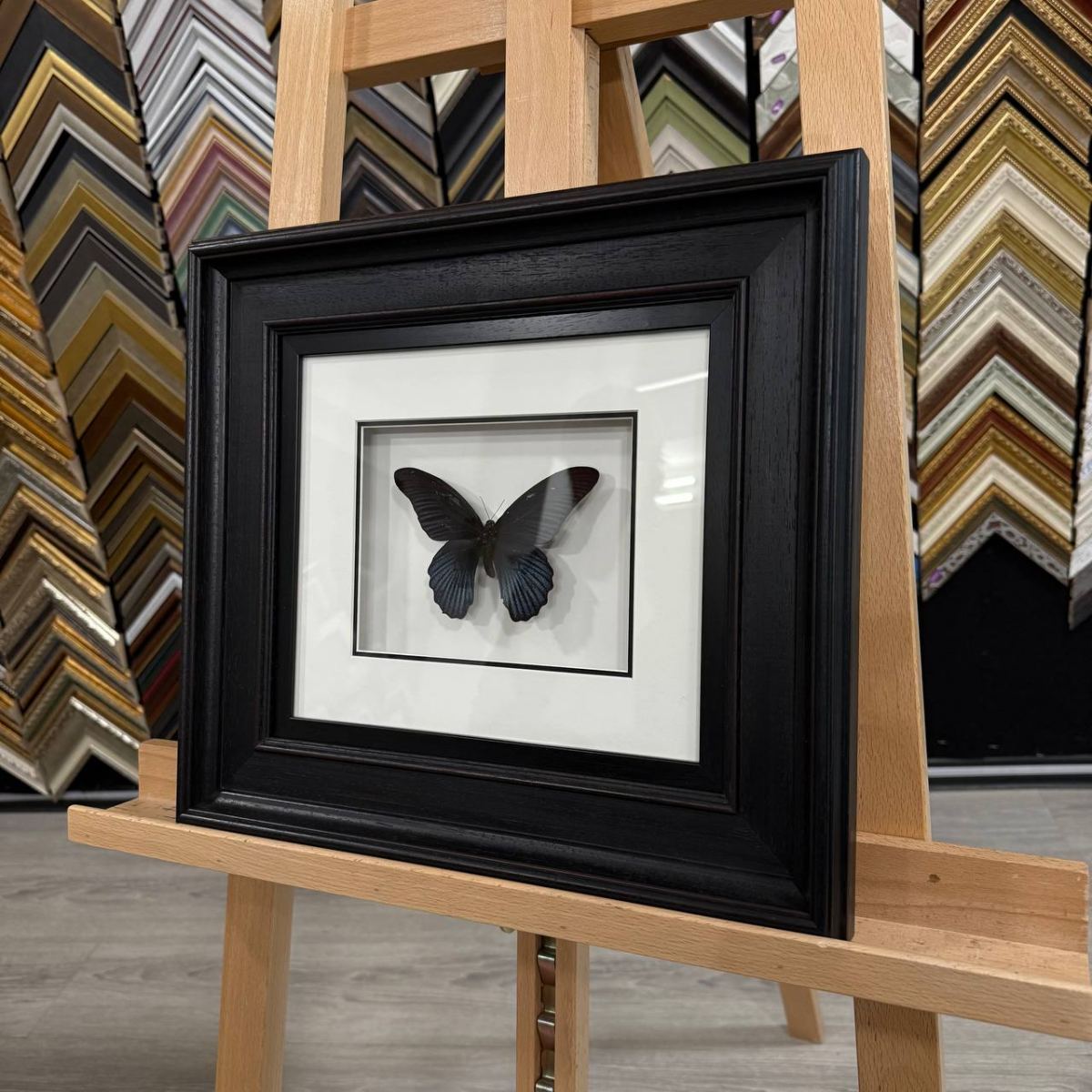 Оформление бабочек в багет: шаг к уникальному арт-объекту